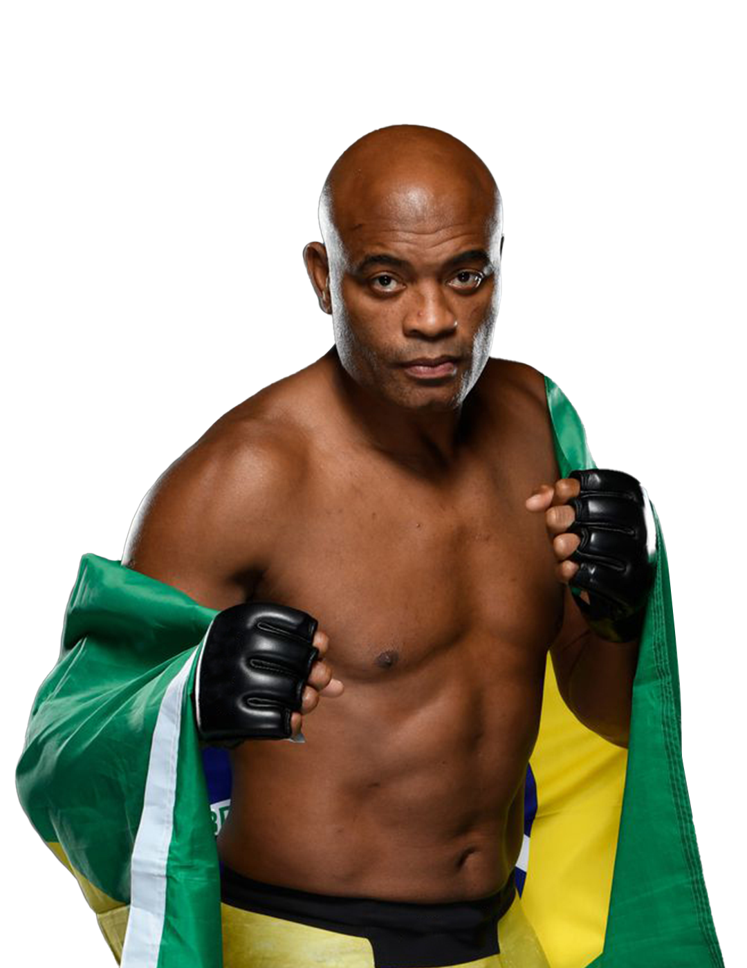 Silva